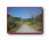 [Click to enlarge]